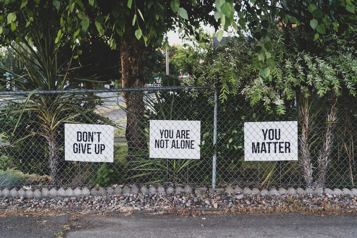 How to Build a Supportive Online Community