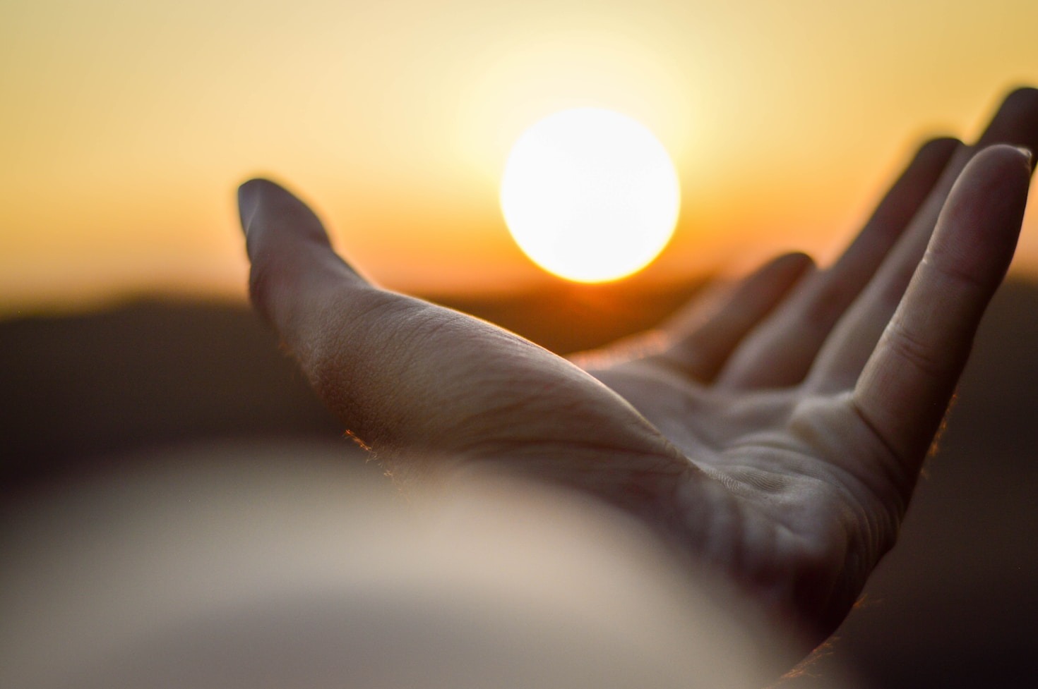 Connecting Through Shared Struggles and Triumphs