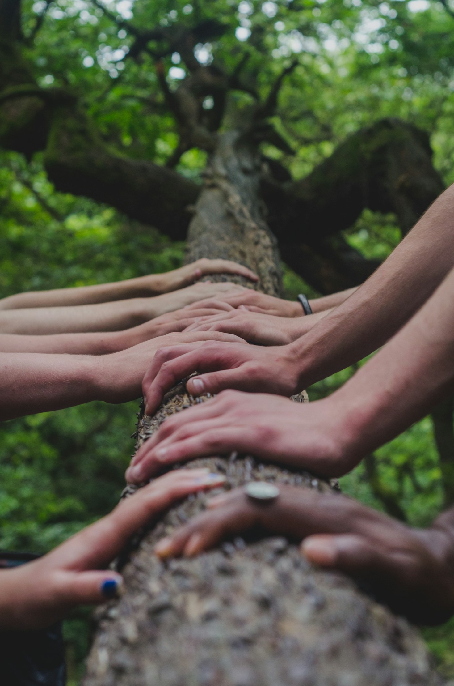 The Importance of Open Dialogues in Tough Times
